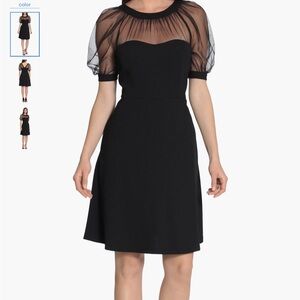 Maggy London Black Dress with Sheer Sleeves